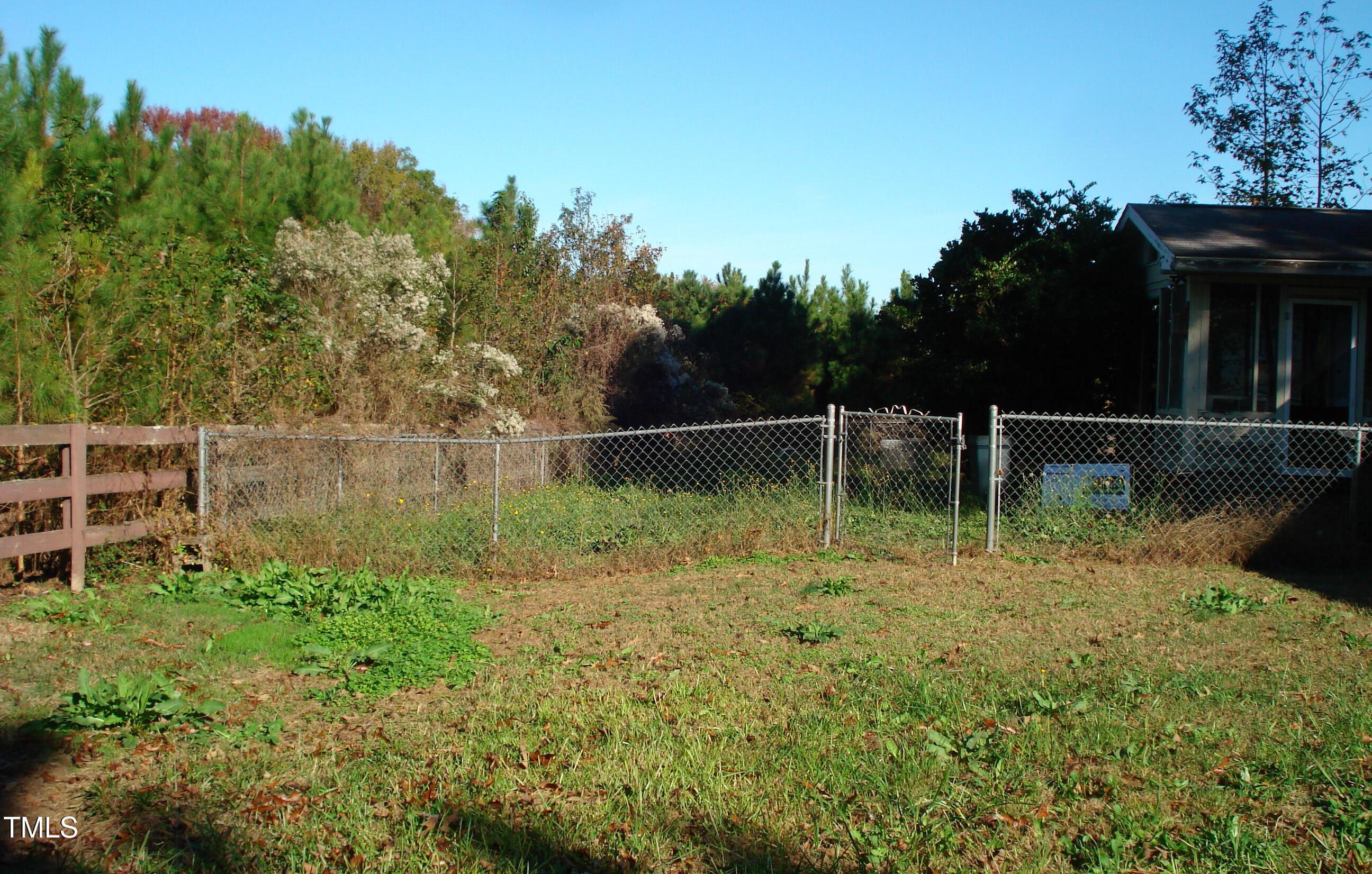 Photo #14