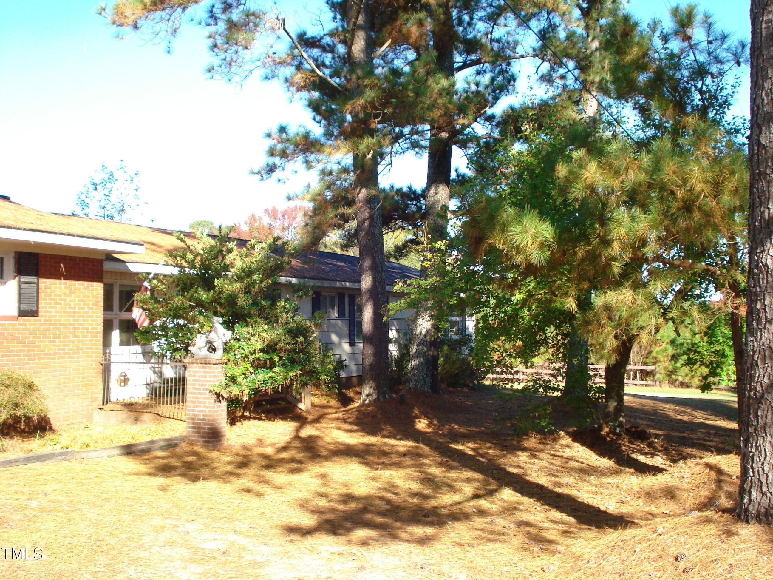 Photo #7