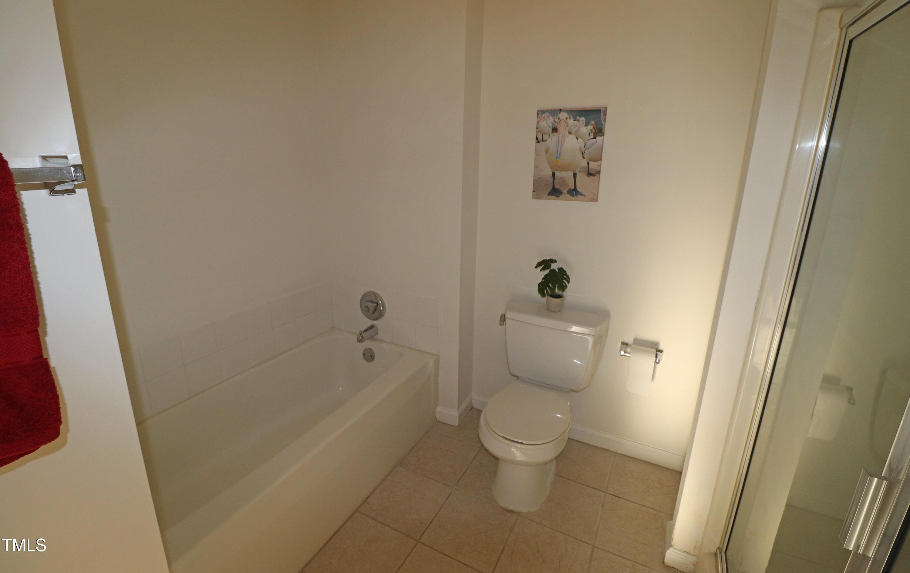 Photo #8