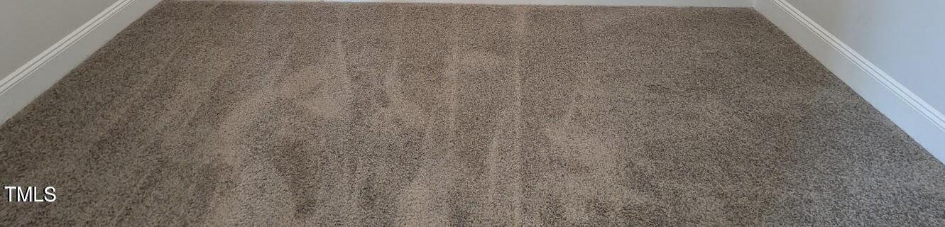 Photo #11