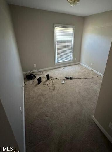 Photo #13