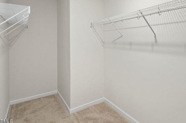 Photo #15