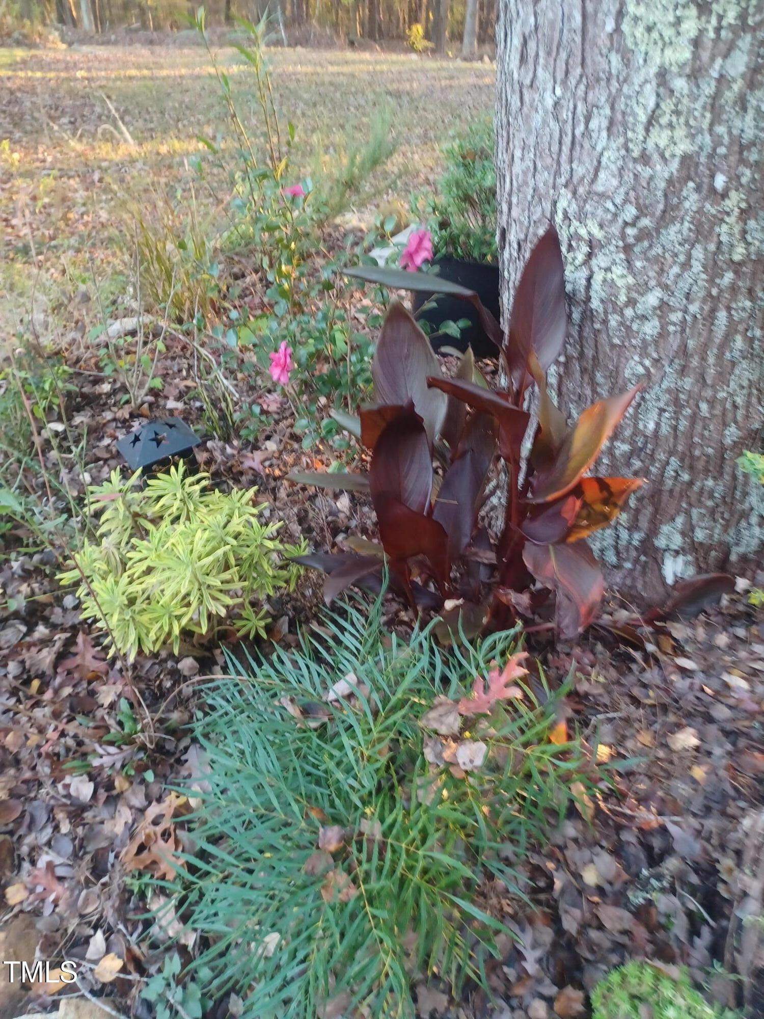 Photo #56