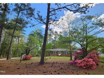 Photo one of 514 Old Stage Rd Willow Springs NC 27592 | MLS 10022863