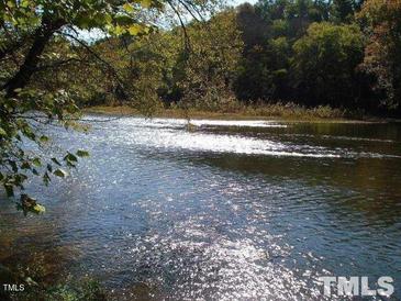 Scenic view of a river with lush green trees at 236 Olde Ferry Ln, Dunn, NC 28334