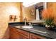 Bathroom with granite countertop, sink, and decorative plant at 40002 Worth, Chapel Hill, NC 27517