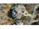 Bird's-eye view of the house and circular driveway at 40002 Worth, Chapel Hill, NC 27517