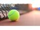 Close-up of tennis ball on a tennis court at 116 Commons Cir # 229, Clayton, NC 27520