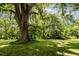 Serene backyard with large tree and rustic swing at 6720 Mebane Oaks Rd, Mebane, NC 27302