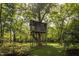 Rustic treehouse nestled among tall trees in a wooded area at 6720 Mebane Oaks Rd, Mebane, NC 27302