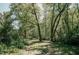 A nature trail through a lush wooded area at 1435 Duplin Rd, Raleigh, NC 27607