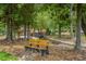 Park bench overlooking a tranquil stream in a lush green space at 125 Sugar Run Dr # 26, Fuquay Varina, NC 27526