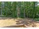 Wooded backyard view from deck at 206 Cardinal Ct, Oxford, NC 27565