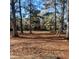 Large backyard with a playset and plenty of trees at 1852 Nc 62 Hwy N, Burlington, NC 27217