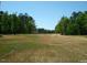 Open land with a long grass field and trees at 236 Olde Ferry Ln, Dunn, NC 28334