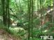 Image shows a heavily wooded area with a creek running through it at 236 Olde Ferry Ln, Dunn, NC 28334