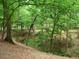 Wooded area with lush greenery and a natural ravine at 236 Olde Ferry Ln, Dunn, NC 28334