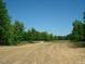 Wooded lot with open field, ideal for building at 236 Olde Ferry Ln, Dunn, NC 28334