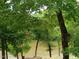 Scenic waterfront view from property, nestled among trees at 236 Olde Ferry Ln, Dunn, NC 28334