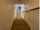 Carpeted stairs leading down to the basement at 144A Celebrity Dairy Way, Siler City, NC 27344