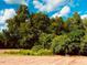 Wooded lot with mature trees and clearing at 70 Ripple Way # 310, Clayton, NC 27520