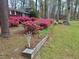Brick ranch house with blooming azaleas and a spacious lawn at 3007 Old Raleigh Rd, Apex, NC 27502