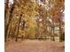 Autumn leaves blanket the ground of this private wooded backyard at 3007 Old Raleigh Rd, Apex, NC 27502