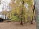 Fall foliage in the backyard wooded area at 3007 Old Raleigh Rd, Apex, NC 27502
