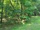 Wooded lot with mature trees and undergrowth at 242 Lakestone Estates, Pittsboro, NC 27312