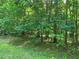 Spacious wooded lot with lush greenery at 242 Lakestone Estates, Pittsboro, NC 27312