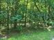 Wooded lot with mature trees and undergrowth at 242 Lakestone Estates, Pittsboro, NC 27312