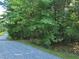 Wooded lot with mature trees and gravel road access at 242 Lakestone Estates, Pittsboro, NC 27312