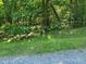 Wooded lot with mature trees and gravel road access at 242 Lakestone Estates, Pittsboro, NC 27312