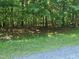 Wooded lot ready for your dream home; private and secluded setting at 242 Lakestone Estates, Pittsboro, NC 27312