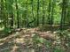 Wooded lot with mature trees and fallen log at 242 Lakestone Estates, Pittsboro, NC 27312