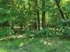Wooded lot with mature trees and undergrowth at 242 Lakestone Estates, Pittsboro, NC 27312