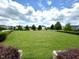 Expansive grassy area perfect for recreation in a residential community at 712 Groveview Wynd, Wendell, NC 27591