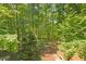 View of a wooded area behind the house at 643 Brookview Dr, Chapel Hill, NC 27514