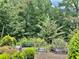 Community garden with raised beds at 231 Village Walk Dr, Clayton, NC 27527