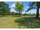 Pasture with a metal fence and trees at 113 Amelia Ln, Holly Springs, NC 27540