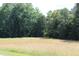 Open field with tall grass and trees in the background at 8450 Perry Rd, Graham, NC 27253