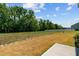 Backyard with patio and view of trees and a pool at 91 Walker Grove Ln, Lillington, NC 27546