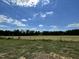 Open field with a tree line in the background under a partly cloudy sky at 86 Scotties Ridge Dr, Princeton, NC 27569