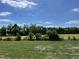 Homesite with large grassy area, trees and distant treeline at 114 Scotties Ridge Dr, Princeton, NC 27569