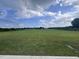 Large backyard with open space at 117 Grace Ridge Ct, Benson, NC 27504