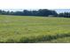 Open grassy lot ready for development at 7622 Lindley Mill Rd, Graham, NC 27253