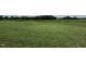 Large, grassy lawn providing ample outdoor space at 46 Scotties Ridge Dr, Princeton, NC 27569