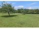 Open grassy backyard with mature trees at 557 Olives Chapel Rd, Apex, NC 27502