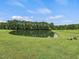 Peaceful pond surrounded by lush greenery at 557 Olives Chapel Rd, Apex, NC 27502