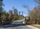 Curving community road with bridge and surrounding trees at 75 Bur Oak Ct, Pittsboro, NC 27312